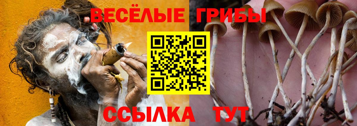 Псилоцибиновые грибы мухоморы Пугачёв